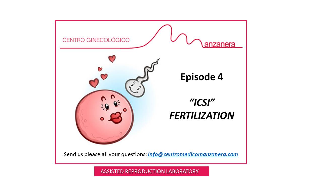 EPISODE 4. ICSI FERTILIZATION WITHIN FERTILITY TREATMENTS (IVF)