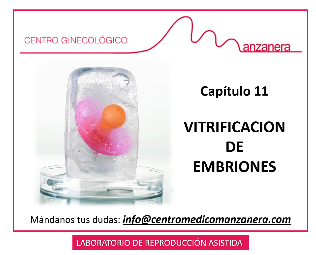 CAPITULO 11. VITRIFICACION DE EMBRIONES EN LOS TRATAMIENTOS DE FERTILIDAD (FIV-ICSI)