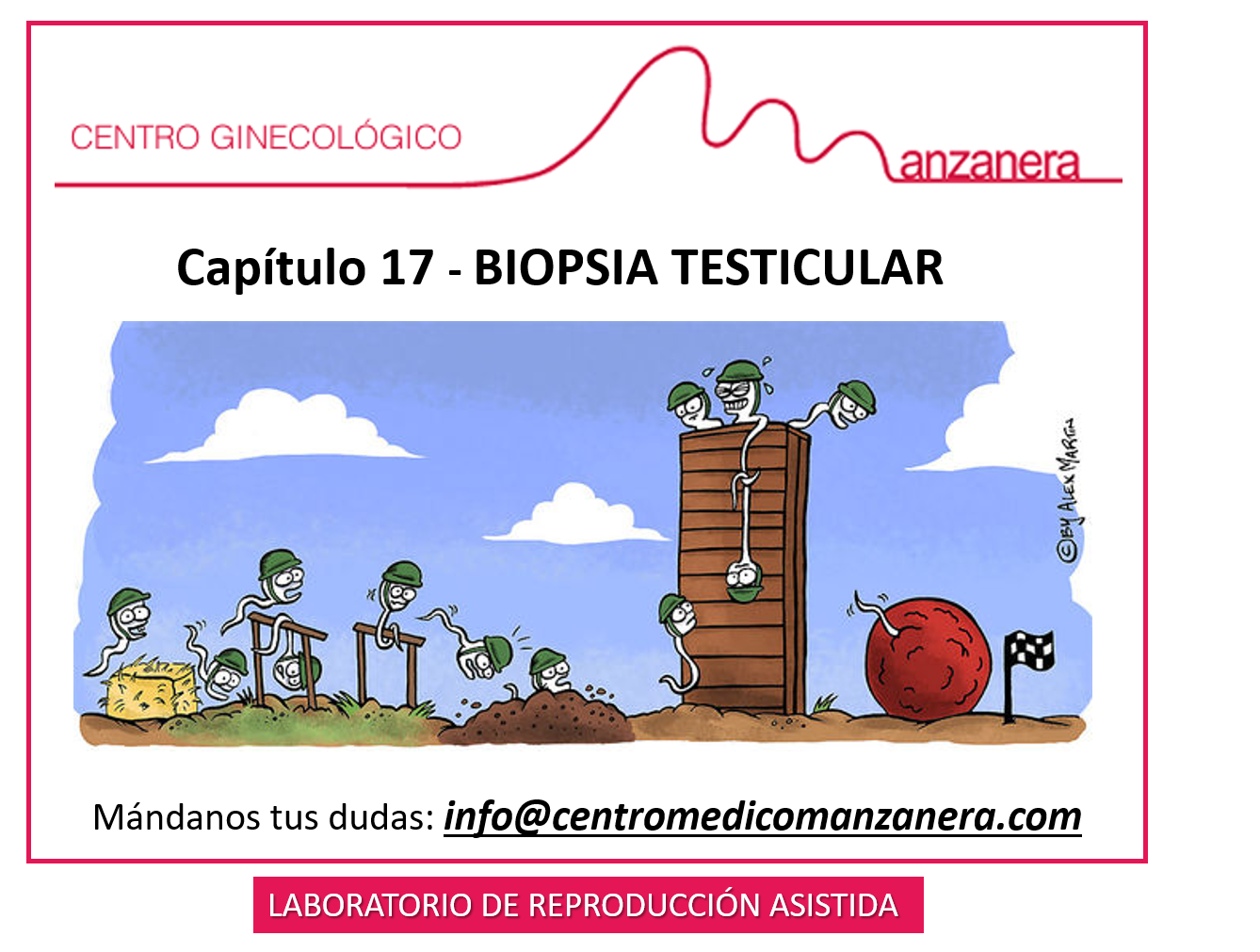 CAPITULO 17. BIOPSIA TESTICULAR EN LOS TRATAMIENTOS DE FERTILIDAD (FIV)