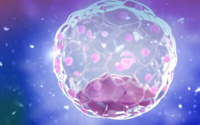 L’EMBRIONE ALLO STADIO DI BLASTOCISTI